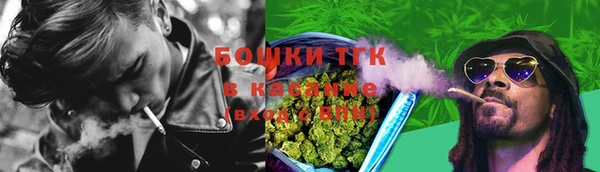 дурь Инсар