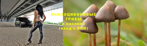 дурь Инсар