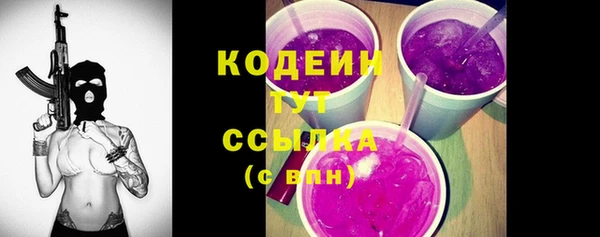 дурь Инсар