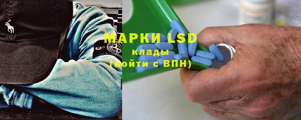 дурь Инсар