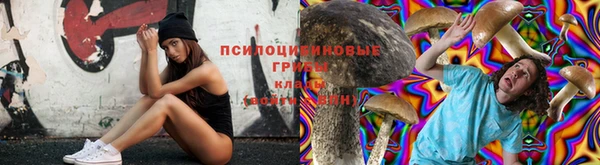 дурь Инсар